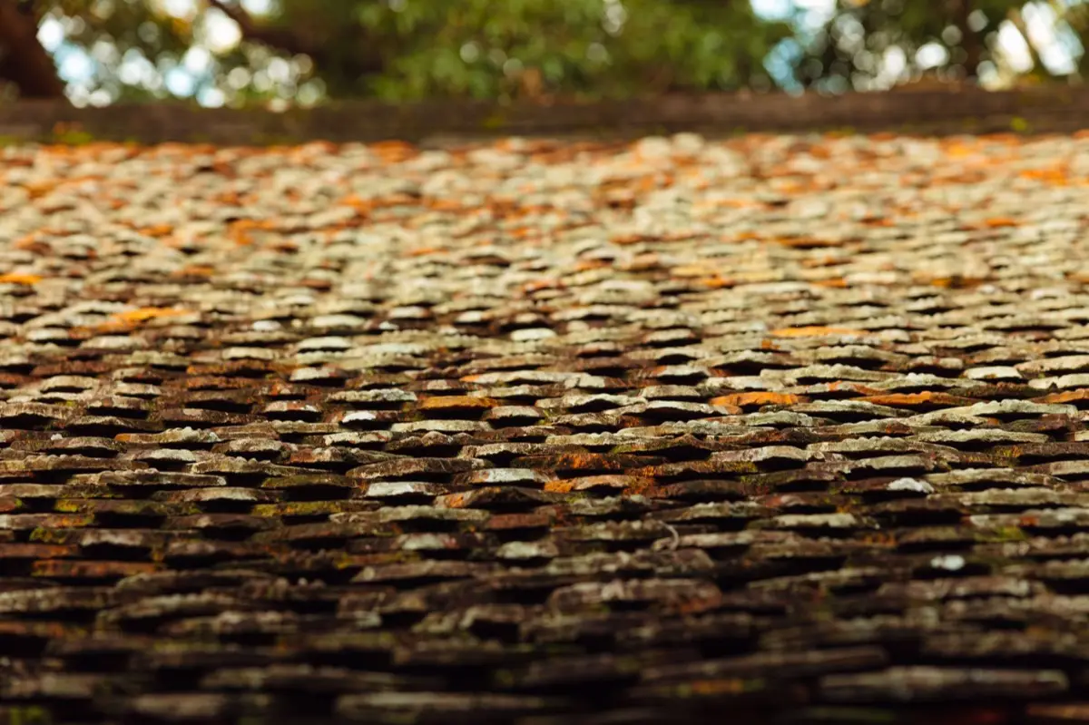 Roof Coatings & Sealing in Waukegan, IL